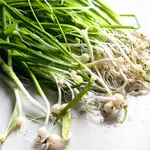 Delicious invasive leeks image