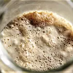 Sourdough Starter image