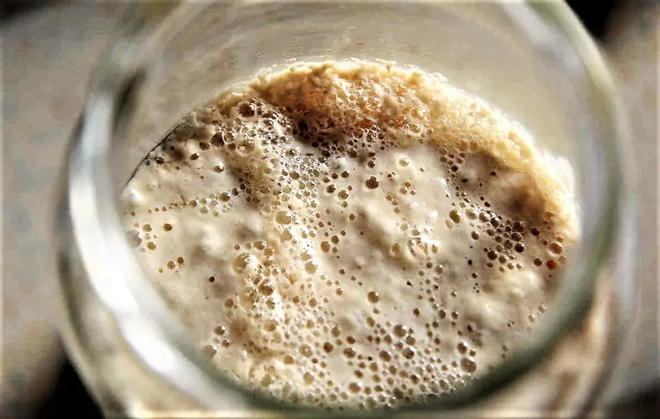 Sourdough Starter image