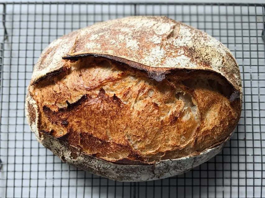 Sourdough image
